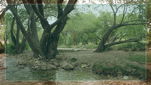 چشمه نهر مسیح هرات