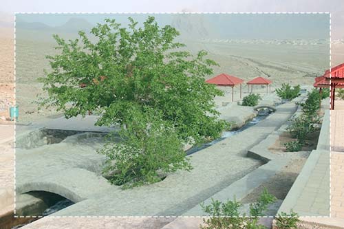 چشمه تامهر تفت