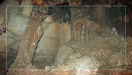 غار نباتی ندوشن