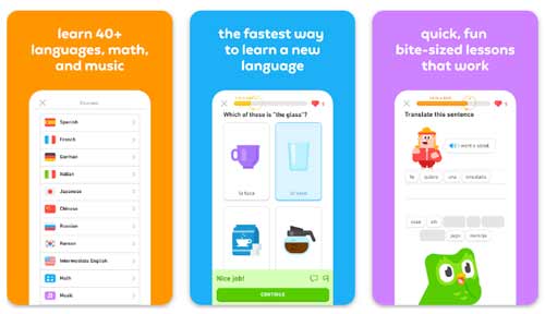کتاب آموزشی اپلیکیشن Duolingo دولینگو